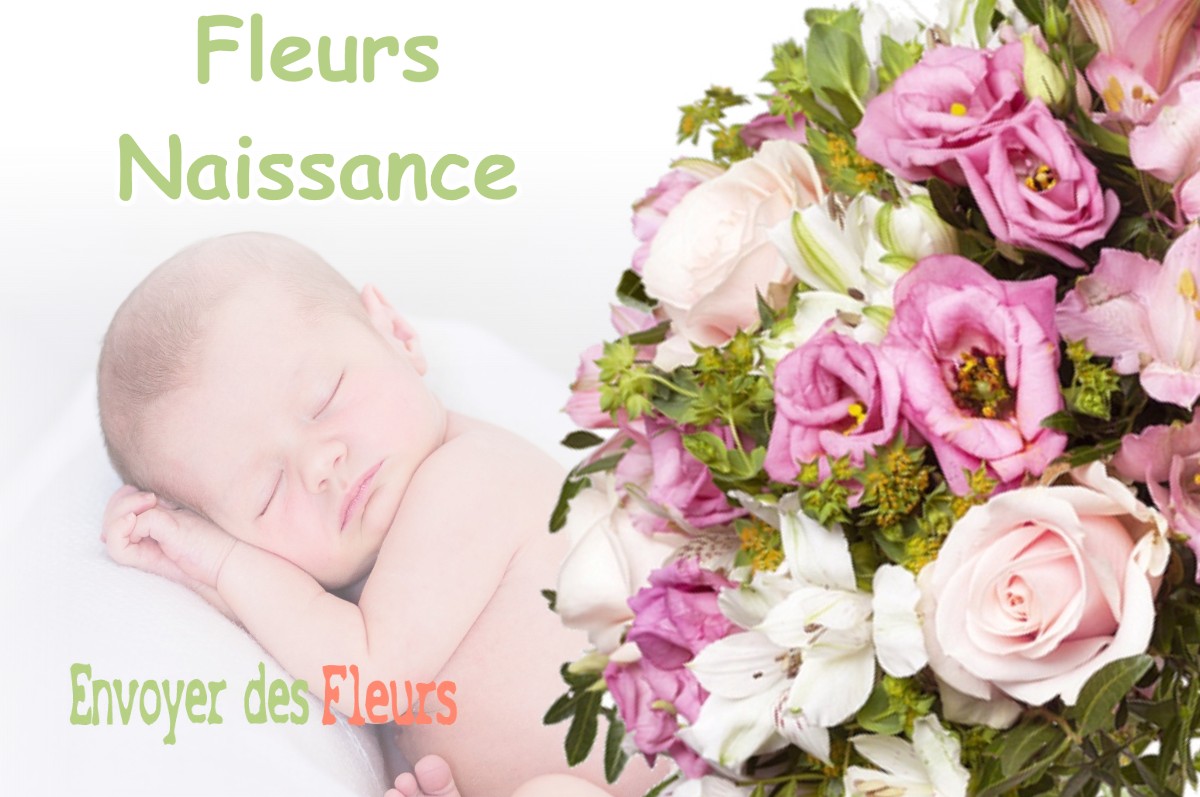 lIVRAISON FLEURS NAISSANCE à VILLAMBLAIN